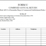 form-U(Annual)